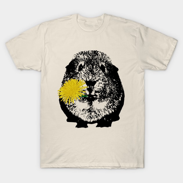 Guinea Pig T-Shirt by Fellball